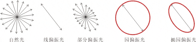 什么是偏振光？偏振光是如何完成檢測的？