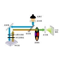 什么是熒光定量PCR、數(shù)字PCR？