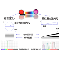 線性漸變?yōu)V光片是什么？有何特點？