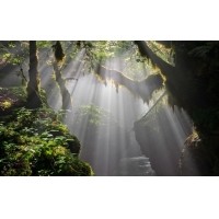 光的干涉、衍射、折射、反射、散射